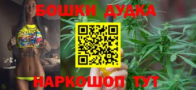 сатива Краснодар