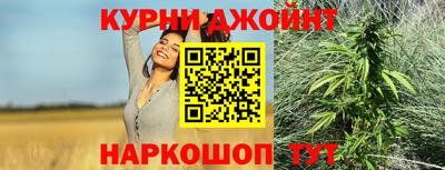 сатива Краснодар