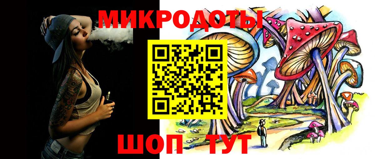 Канаш  Галлюциногенные грибы Psilocybe  Вход с VPN 