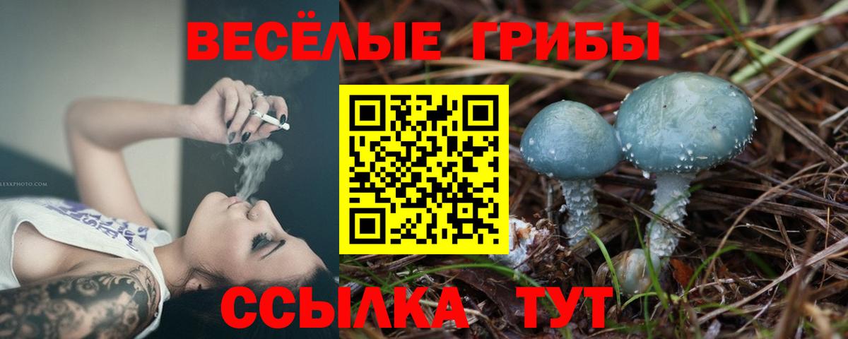 Псилоцибиновые грибы Magic Shrooms Канаш